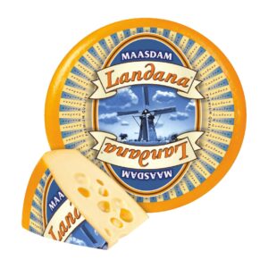 Landana Maasdam - prawdziwy holenderski Maasdam